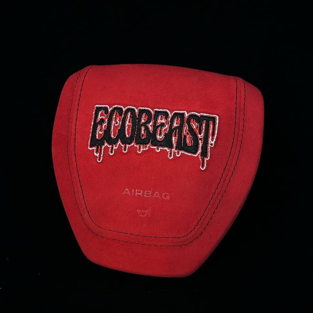 2015-2020 Ford F150/Raptor Custom Airbag Cover