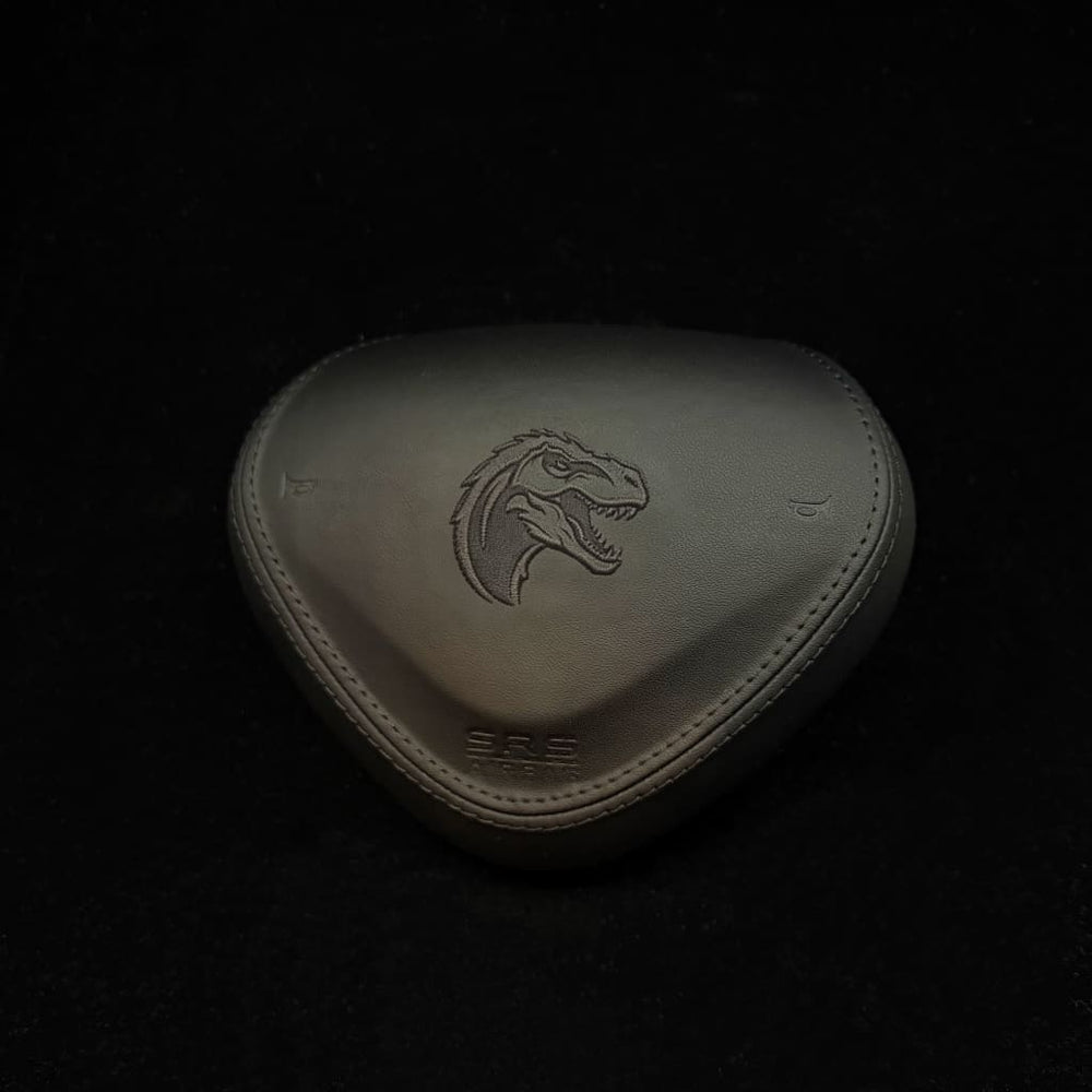 Custom Airbag Cover for 2009-2014 Acura TSX - airbag cover